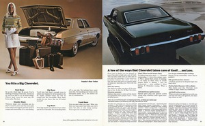 1970 Chevrolet Full Size (Cdn)-22-23.jpg